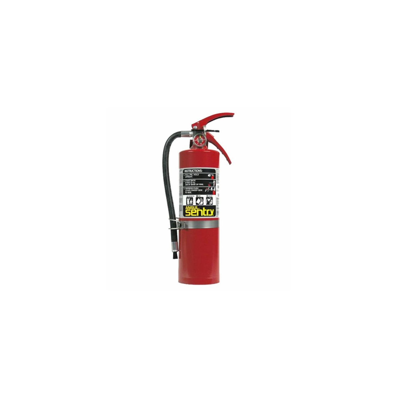 Ansul® ABC Dry Chemical Fire Extinguisher | DiVal Safety Equipment