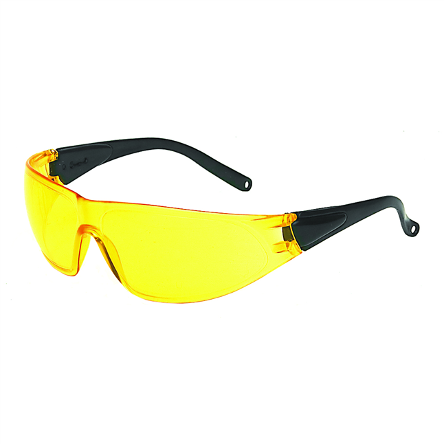 Shield Safety Glasses