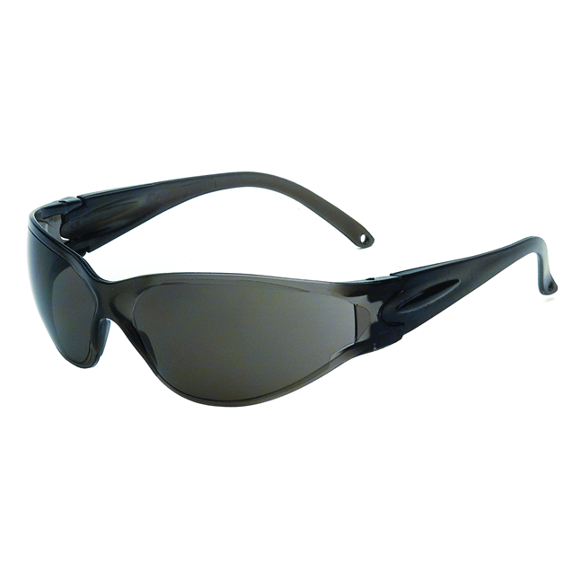 Brace Safety Glasses Main Image