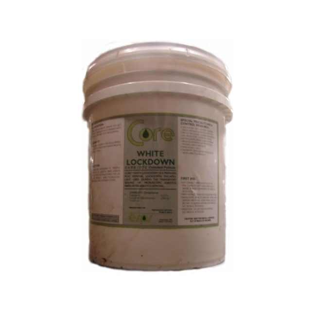 CORE Clear Lockdown Encapsulant for Asbestos Removal, 5 Gallon Pail