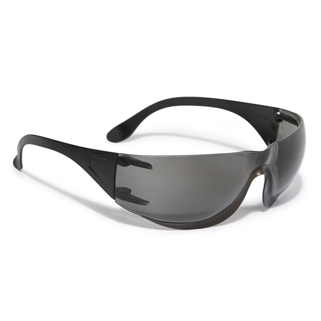 Moldex® 5001 Adapt Safety Glasses