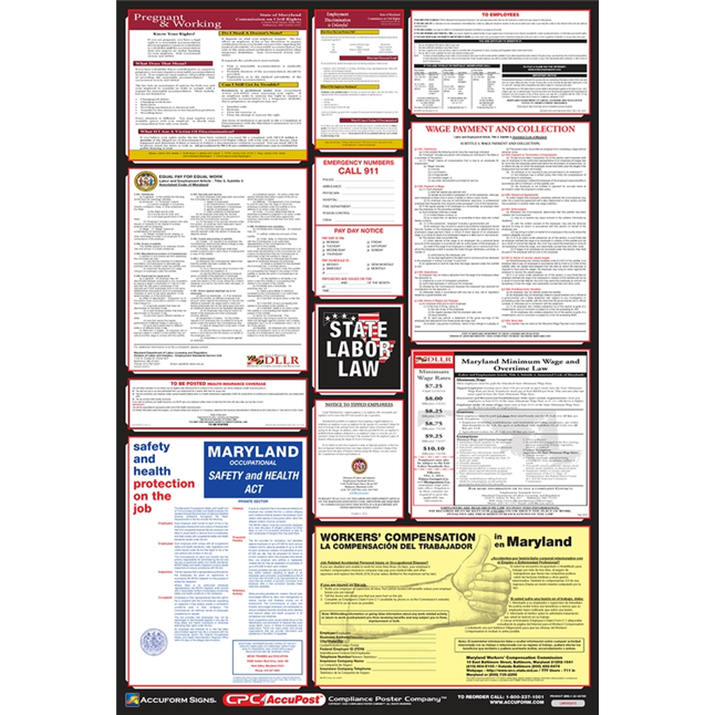 OSHA Safety Poster: Combo State, Federal & OSHA Labor Law Posters