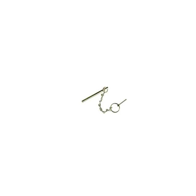 SafetyRail 2000 Securing Pin
