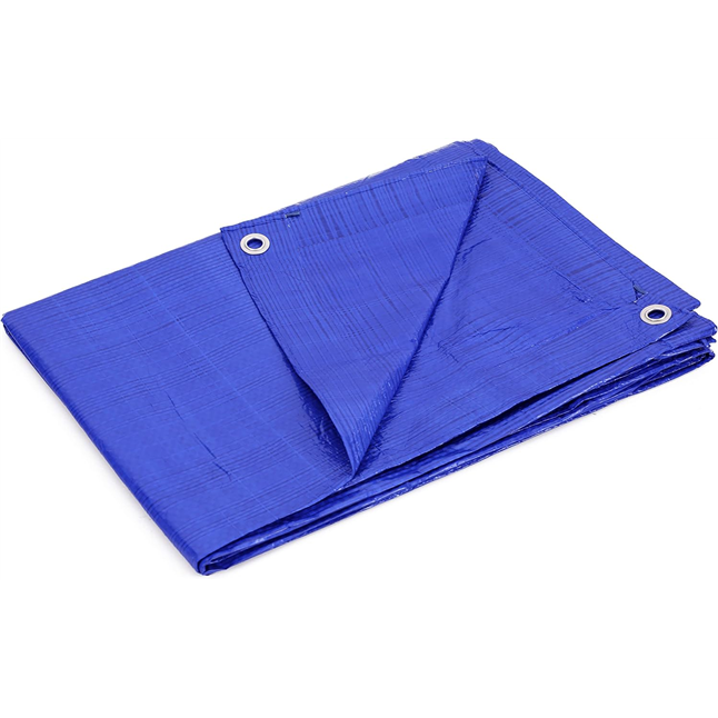 Kotap All-Purpose 5 mil Poly Tarp, Blue