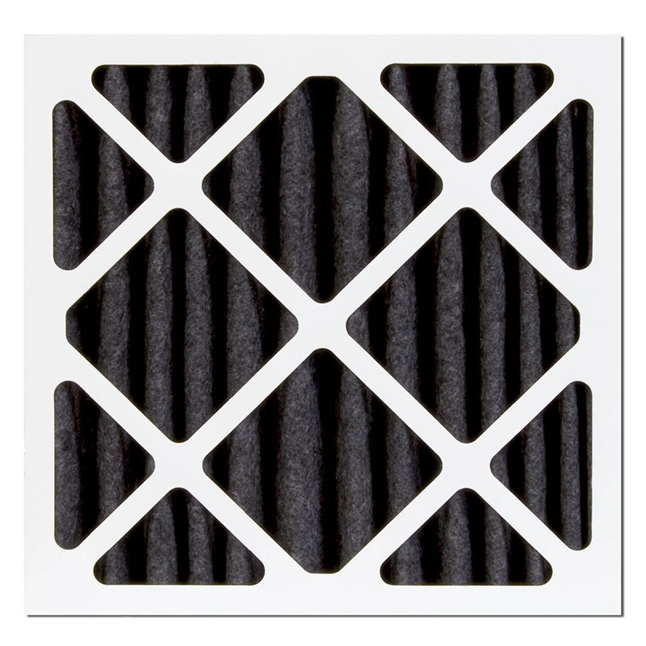 1" Pleated Carbon Filter