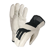 Express Rider Drivers Glove, Mesh Back Main Image